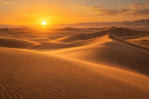 Golden desert waves at sunset